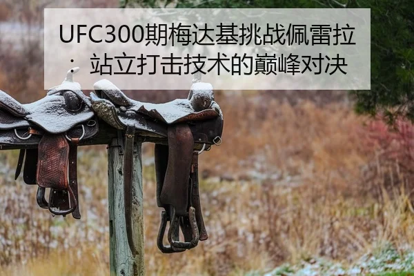 UFC300期梅达基挑战佩雷拉：站立打击技术的巅峰对决